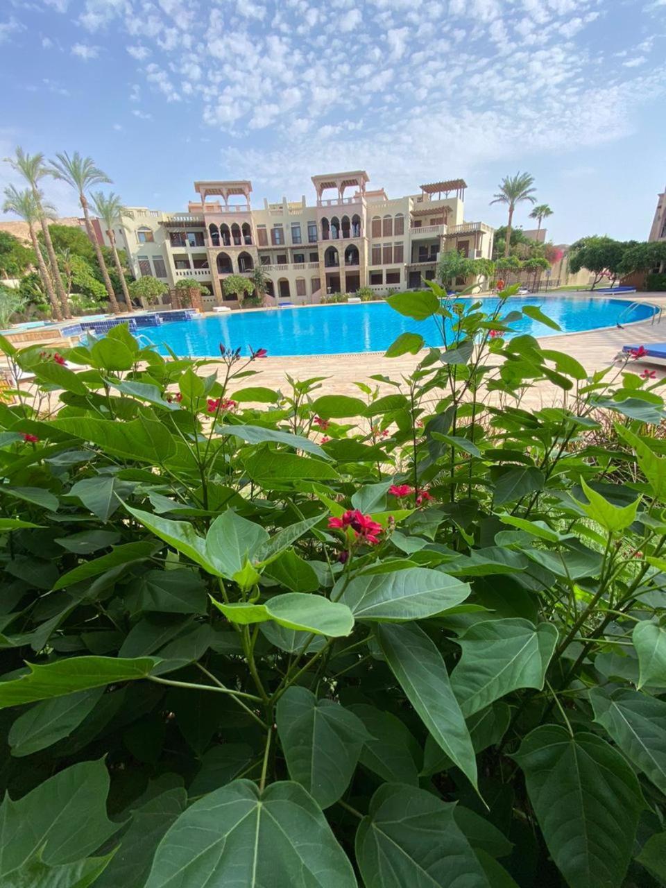 One Bedroom Apartments Aqaba On 2 Swimming Pool Tala Bay エクステリア 写真